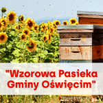 II edycja Konkursu na Wzorową Pasiekę Gminy Oświęcim